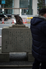 虎