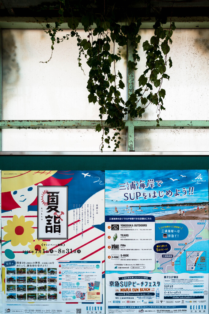 シン・ズシエキ