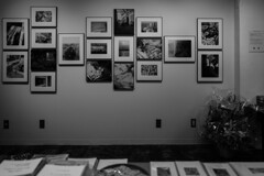 MONO GRAHY camera＆Artへ