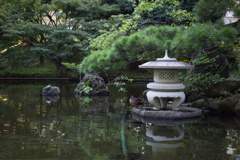 朝の庭園