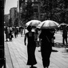 日傘率
