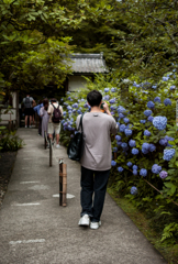 平日なのに…