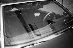 El Camino