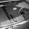 El Camino