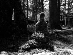 苔生す地蔵