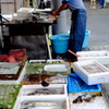 三崎めぐり3