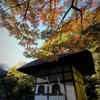 鎌倉も秋の気配
