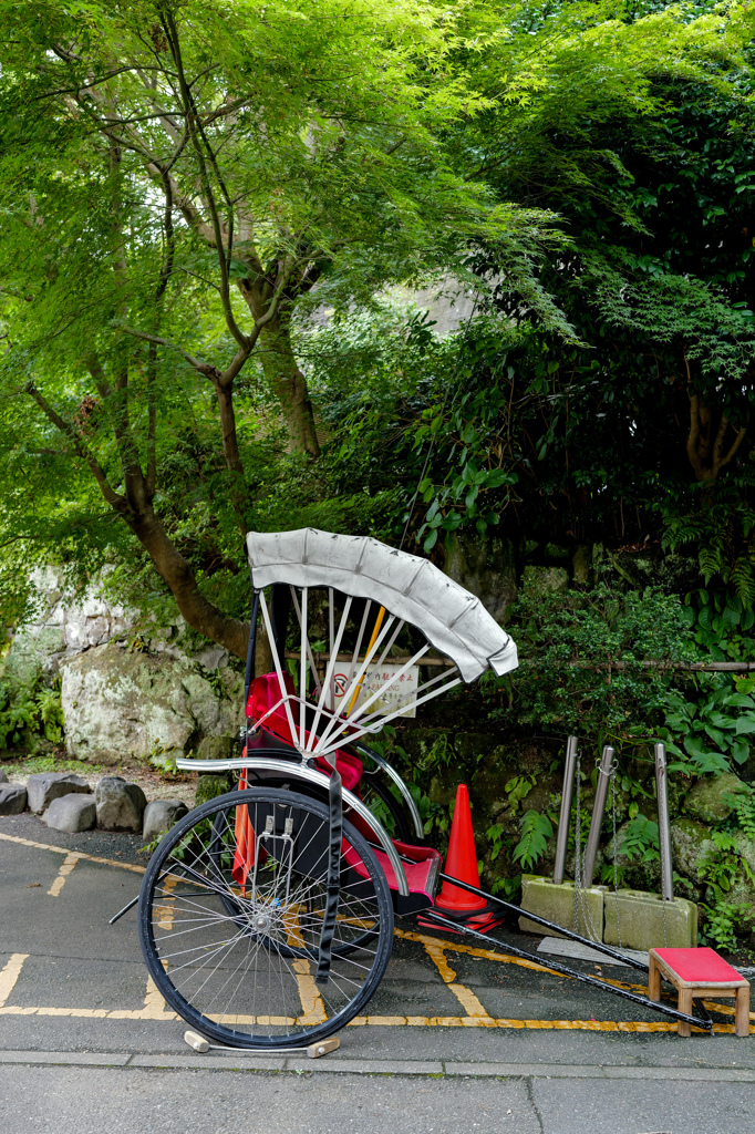 木陰駐車