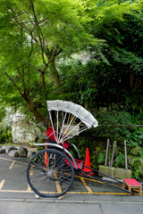 木陰駐車