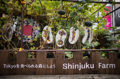 Shinjuku Farm