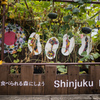 Shinjuku Farm