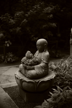 花 鉢