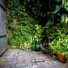 Green bottle