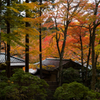 箱根 長安寺 紅葉