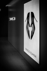 俺は踏まれたくない派