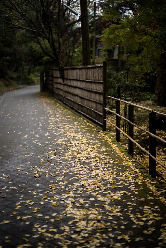 北鎌倉 路