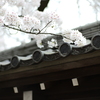花 思い