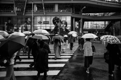 オアシズでは無い