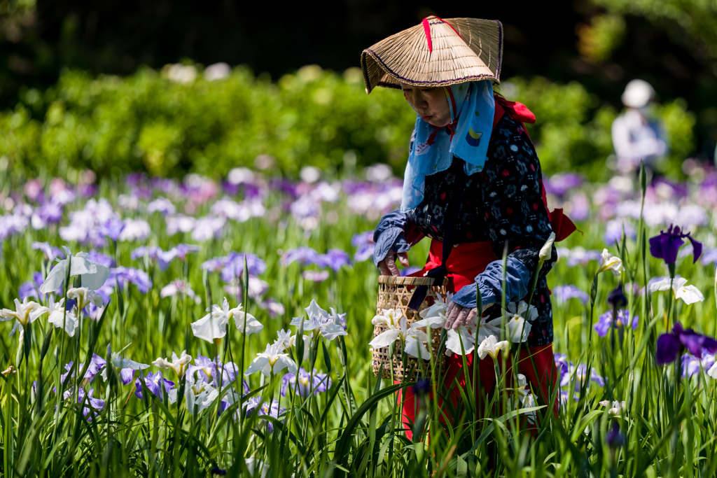 花がら摘み