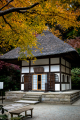 ひと休み