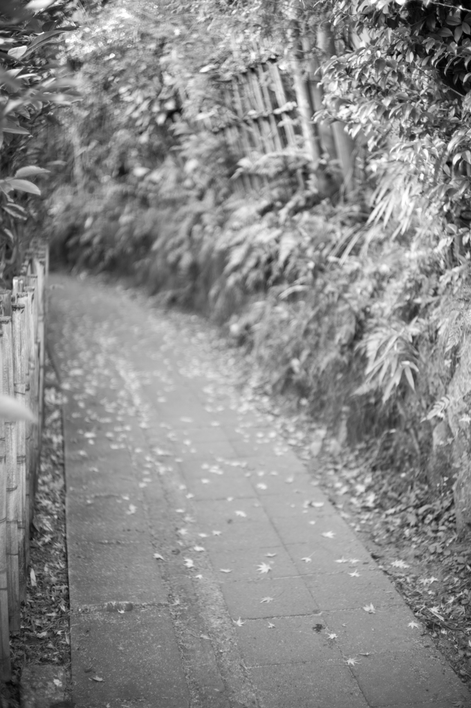 北鎌倉 路