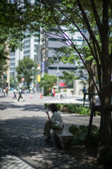 木 陰