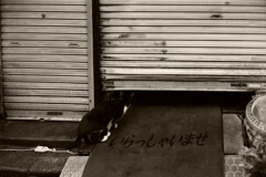 常連さん