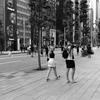 気のいいカップル