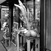 唐茄子屋