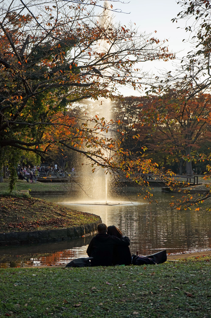 The season when love becomes lively most