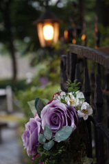 Whimsical beauty