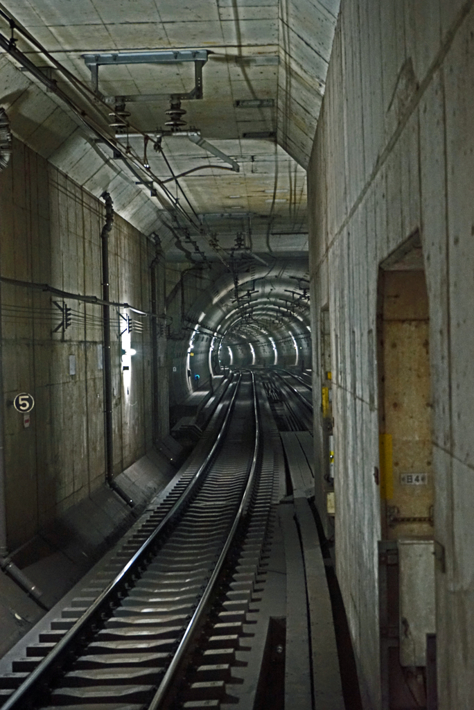 urban rapid transit system