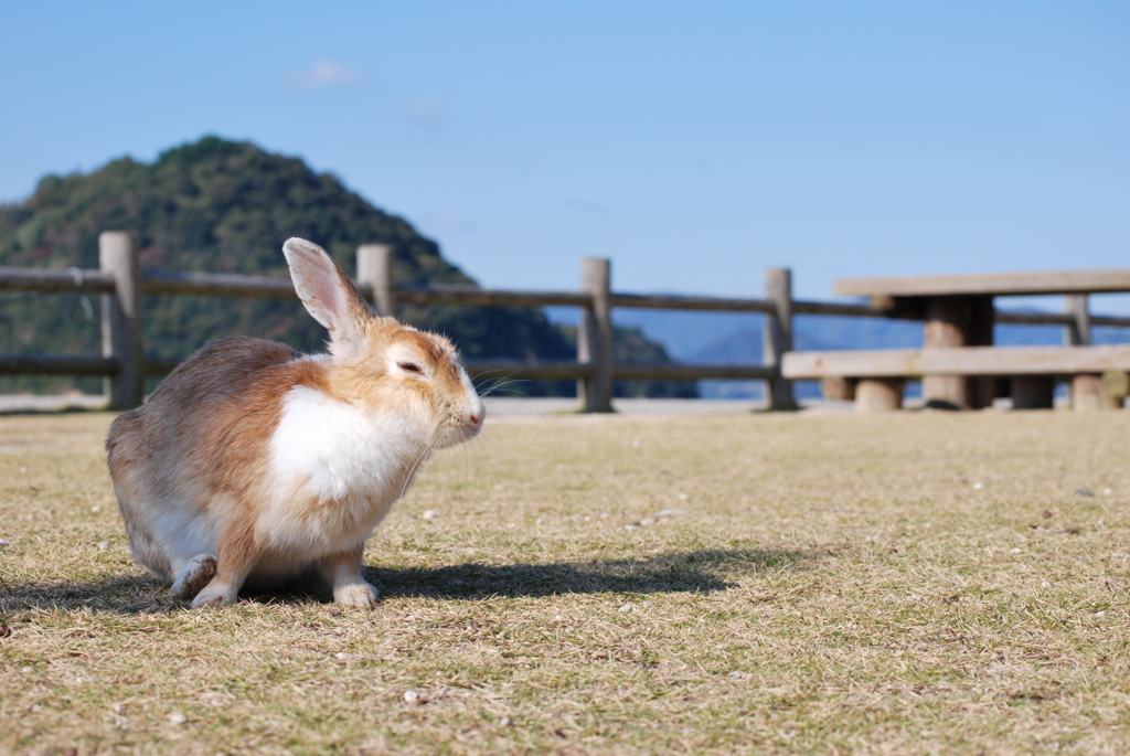 まぶしすぎて