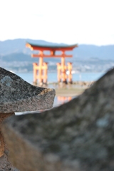 ひかりかがやく