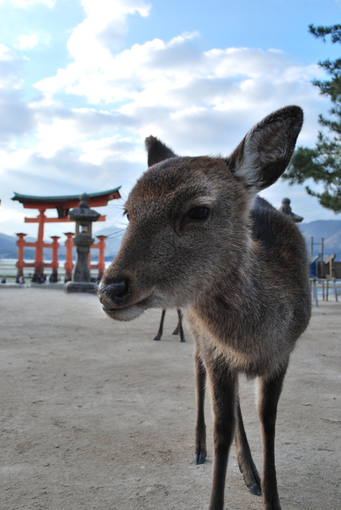 そうそう