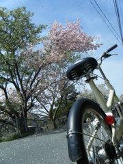 自転車サンポで、よりみち。