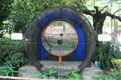 珍しい動物　ヒト