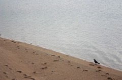 海辺