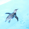 気持ちよさそう