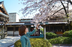 桜と