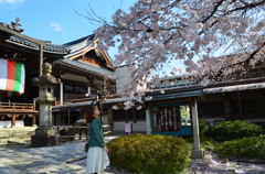 桜と