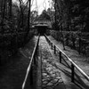 白黒