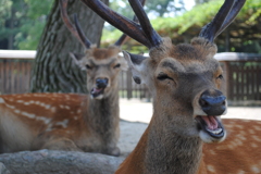 眠いよなー