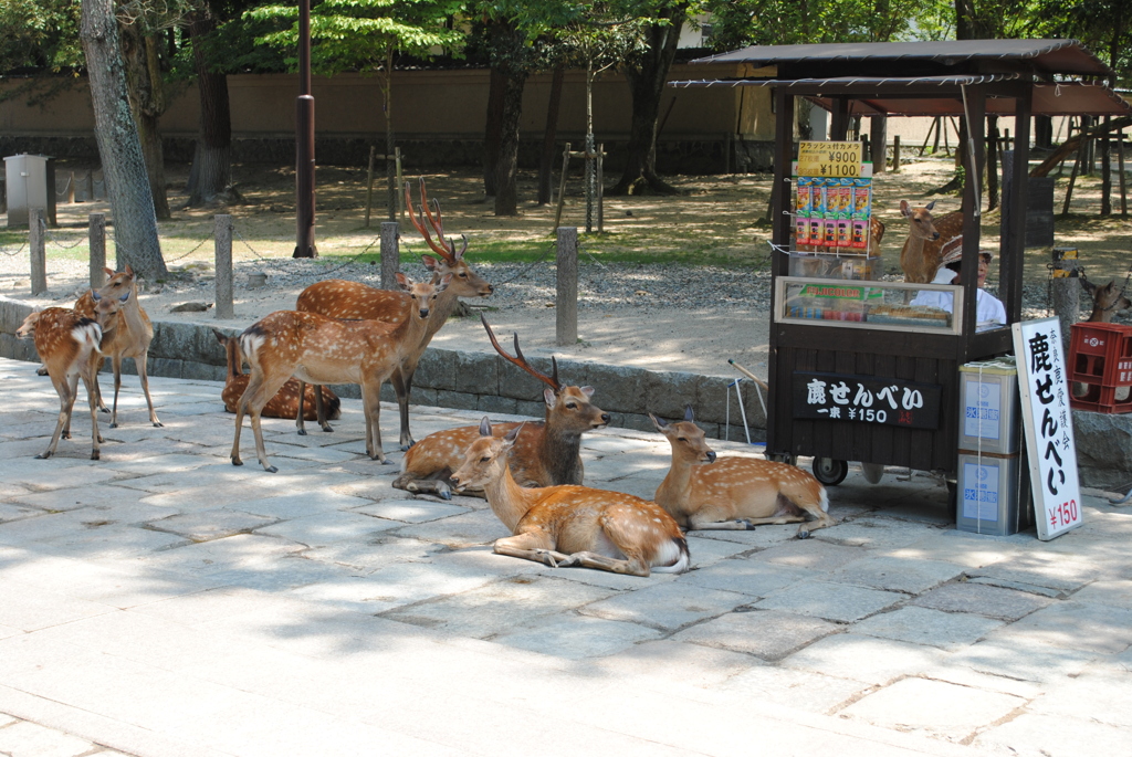 スタンバイ完了