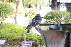 一休み