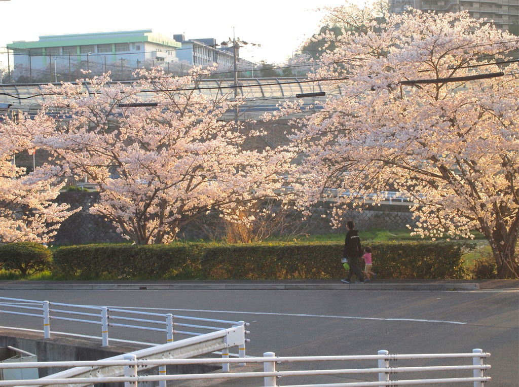 帰路。
