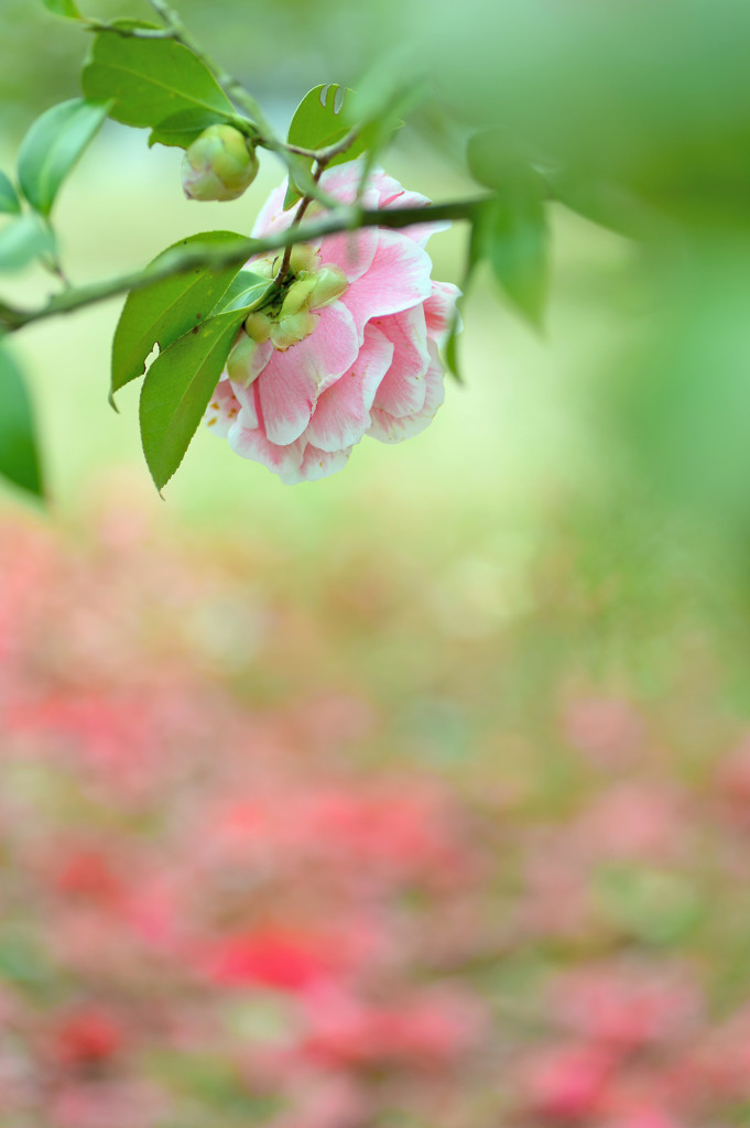 そっと