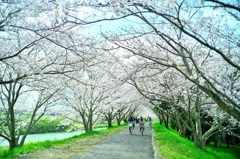 春のトンネル抜けて♪