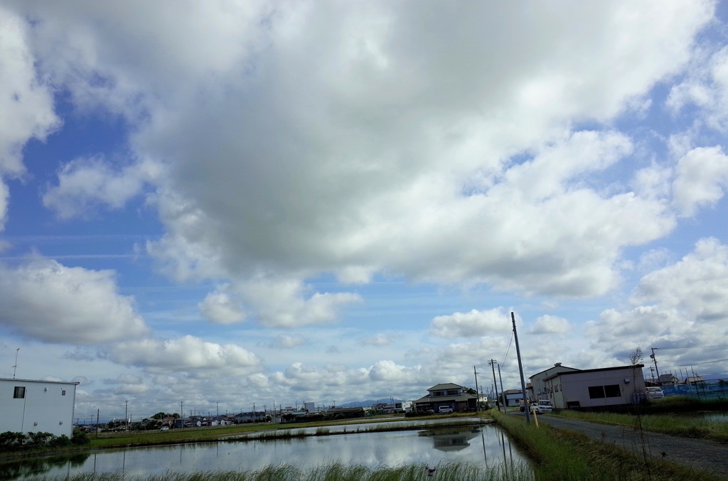今日は青空！