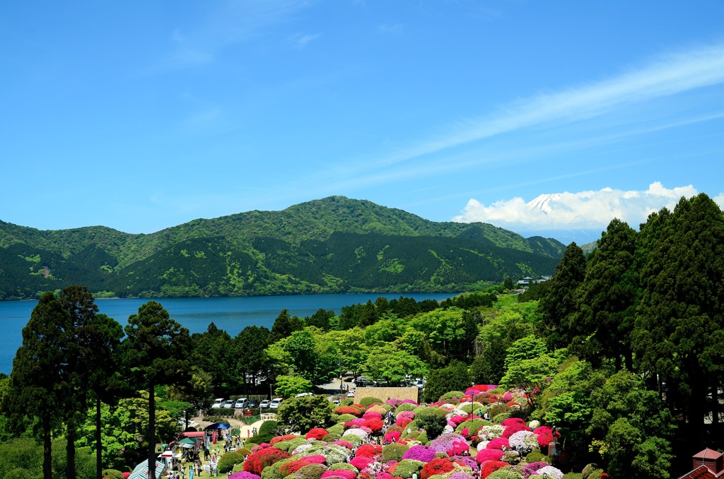 箱根の箱庭♪